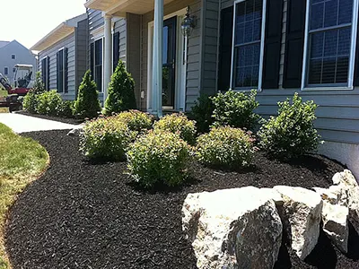 Landscape Plantings, Spring City, PA