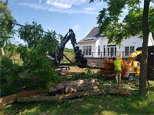 Excavator being used to feed trees into a wood chipper