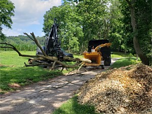 Excavator being used to feed tree into wood chipper