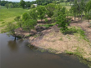 Finish picture of an area by a pond that was just forestry mulched