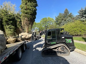 18' Norway spruce being unloaded