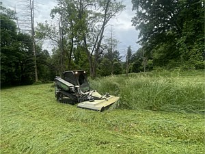 Track loader with a brush mower mowing down 4' grass in Warwick