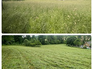 Before and after pictures of a field that was brush mowed