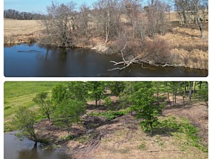 Before and after picture of an area by a pond that we forestry mulched and brush mowed in Glenmore