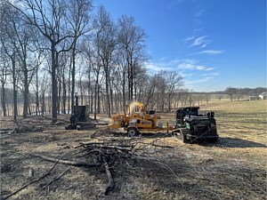 Excavator being used to put tree limbs into a wood chipper. Track loader being used to hold chipper in place