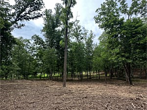 Finish picture of an area that had just been forestry mulched in Pottstown